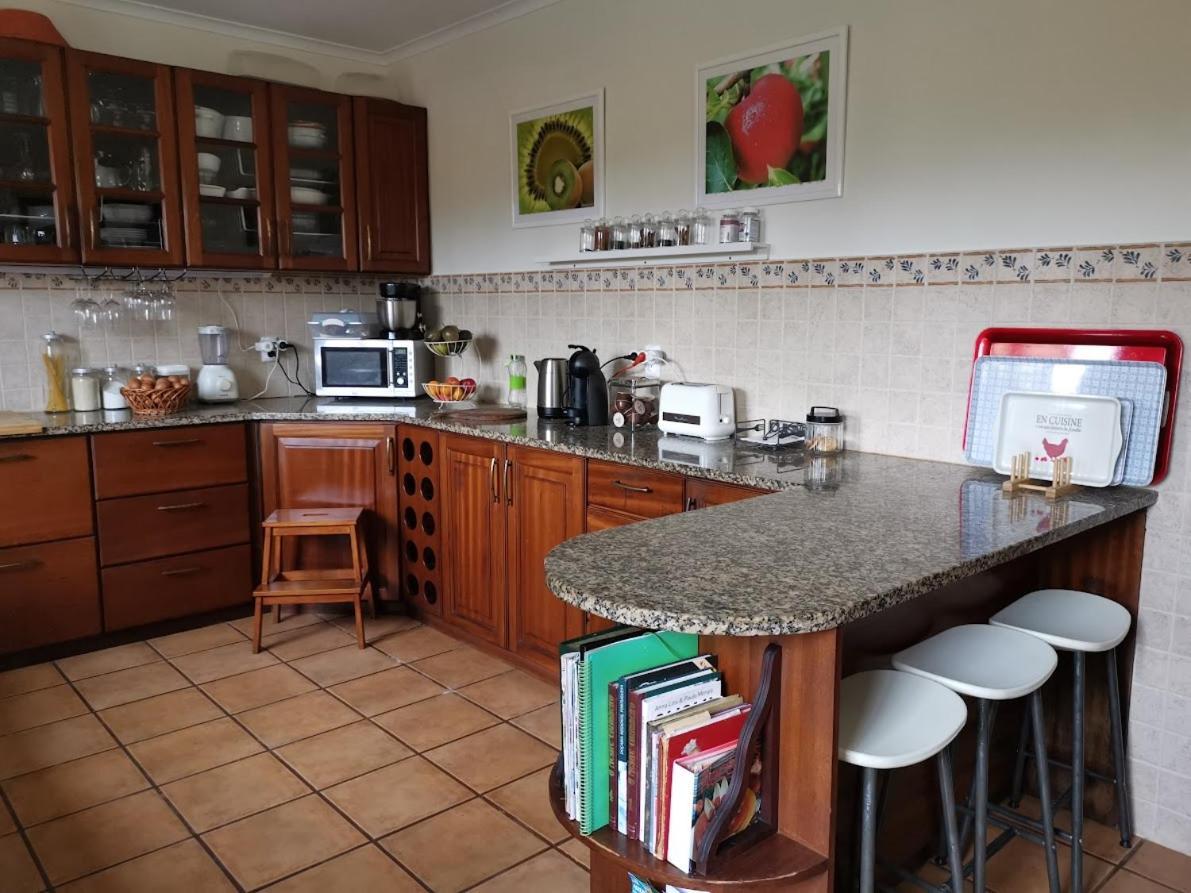 Casa Das Palmeiras São Vicente Ferreira Εξωτερικό φωτογραφία